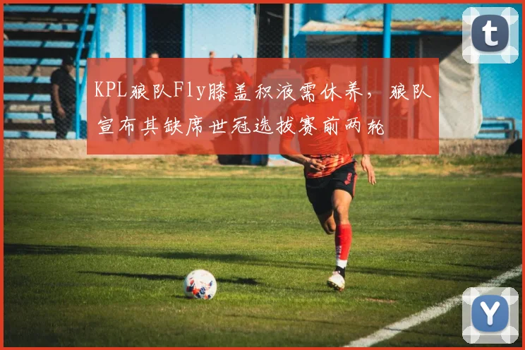 KPL狼队Fly膝盖积液需休养，狼队宣布其缺席世冠选拔赛前两轮