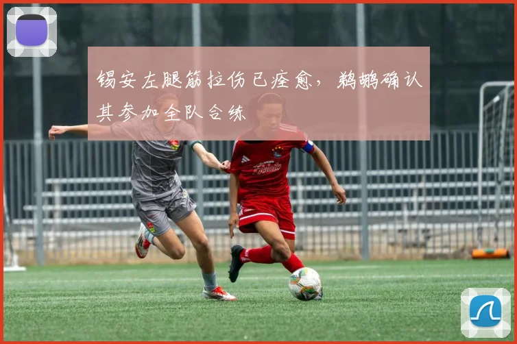 锡安左腿筋拉伤已痊愈，鹈鹕确认其参加全队合练